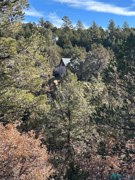 TBD County Road A20, Ojitos Frios, NM 87701