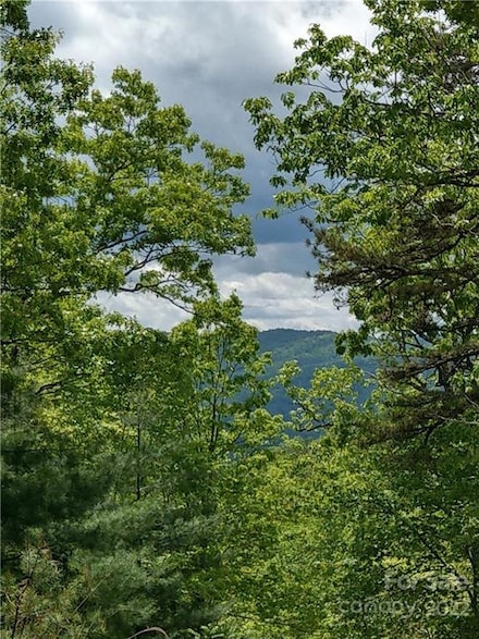 000 Dogwood Ln Unit E1, Penrose, NC 28766