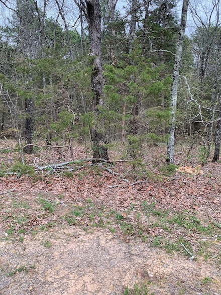 0 E Blue Ridge Terrace Unit 24033080, Fairfield Bay, AR 72088