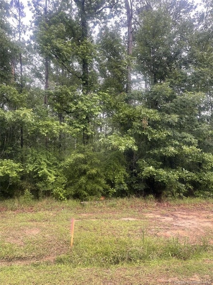 0 Ernest Dr, Ragley, LA 70657