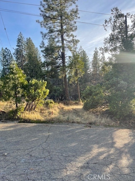6172 Shad Way, Pollock Pines, CA 95726