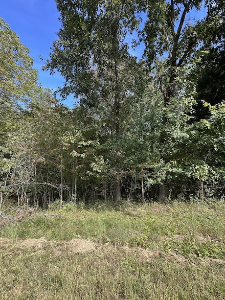 1 Mccampbell St, Paris, TN 38242