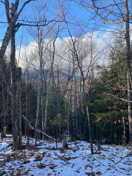 XXX Scriver Rd, Elizabethtown, NY 12964