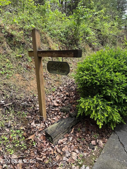 1960 Regans Ridge Way, Sevierville, TN 37876