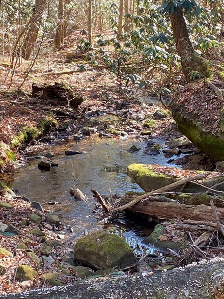0 Panther Branch Unit 22025322, McKee, KY 40447