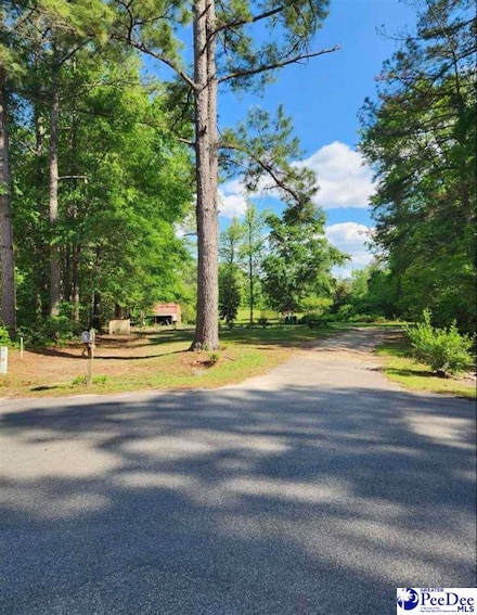 1405 Bent Tree Ct, North Hartsville, SC 29550