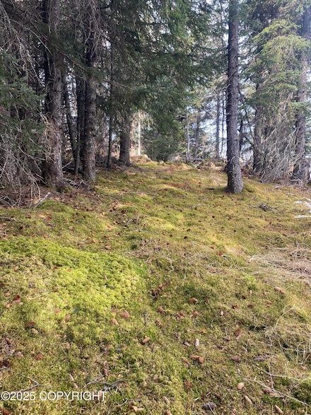 65655 Ring of Fire Ave, Anchor Point, AK 99556