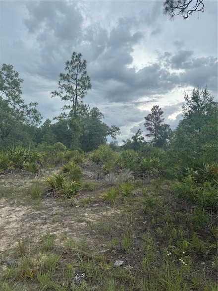 0 NE 105 St, Archer, FL 32618