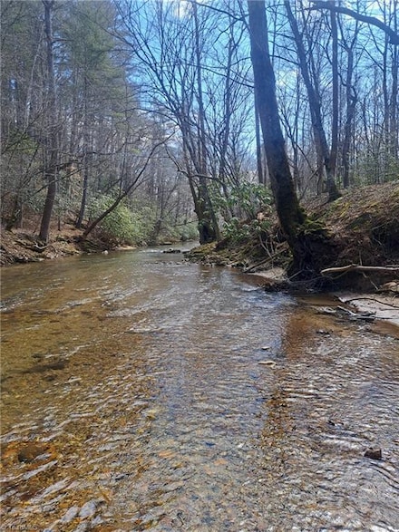 0000 Brushy Fork Rd, Cana, VA 24317