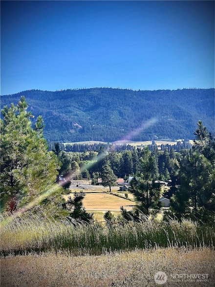 4011 S Cottage Ave, Cle Elum, WA 98922