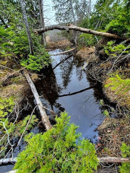 Lot 6 Morrison Brook Acres, Oakfield, ME 04763