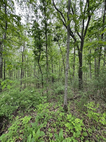 Lot 5 Rowland Rd, Hamden, OH 45634