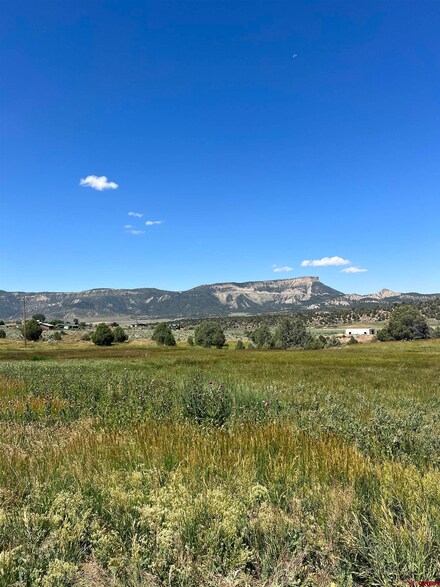 38025 Highway 160, Mancos, CO 81328