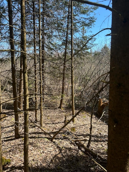 Lot 7 Little Cut Ln, Brevort Township, MI 49760