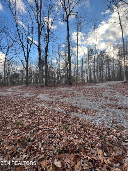 3461 Valley View Rd, Pikeville, TN 37367