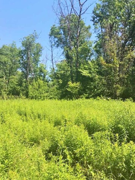 Lot 3 Foss, Lancaster, NH 03584