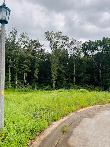 Lot 20 Cascade Dr, Florence, AL 35633