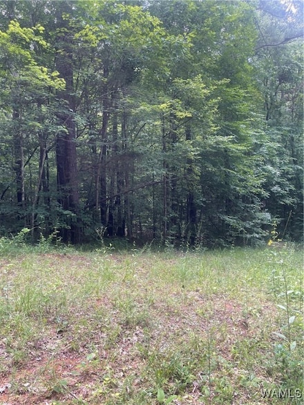 0 Hargrove Rd E, Cottondale, AL 35453