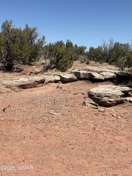 8580 Lawson Ln Unit Parcel A, Snowflake, AZ 85937
