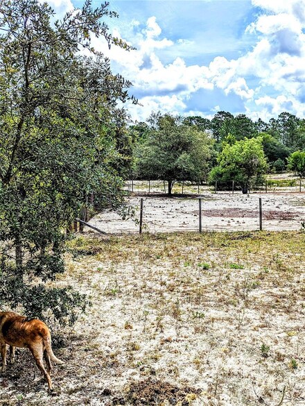 3-ACRE W Carpenter Ct, Dunnellon, FL 34433