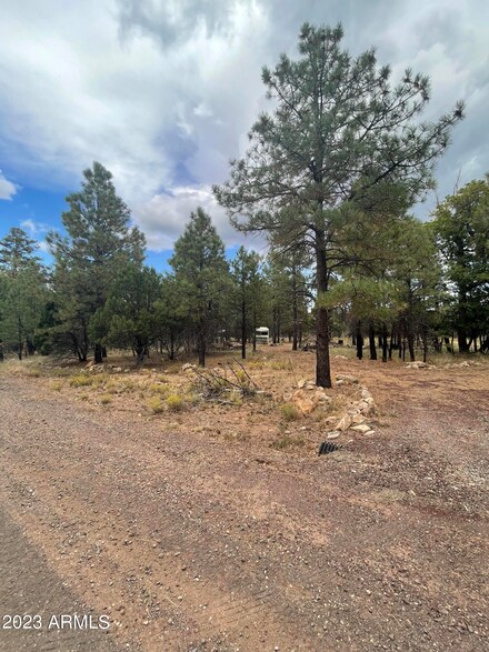 1269 Green Top Dr Unit 27, Flagstaff, AZ 86024