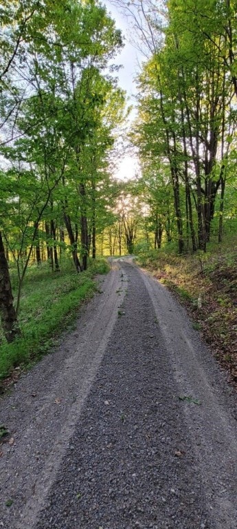 Lot 5 Hideaway Trail, Slaty Fork, WV 26291
