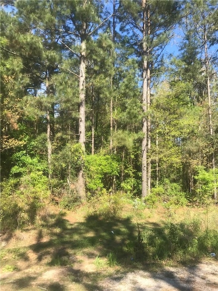 TBD Ernest Dr, Ragley, LA 70657