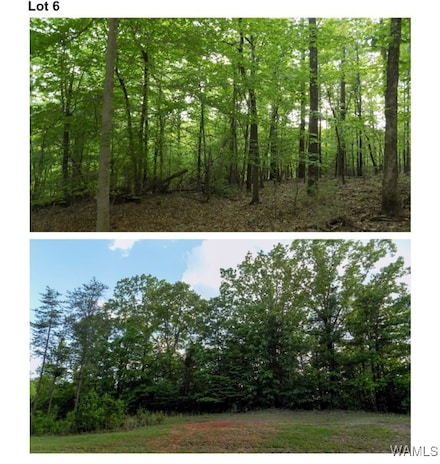 6240 Garner Rd, Tuscaloosa, AL 35405