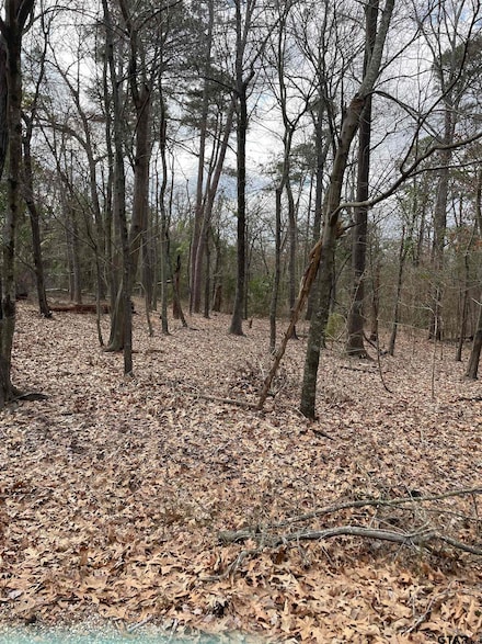 TBD County Road 2433, Pittsburg, TX 75686