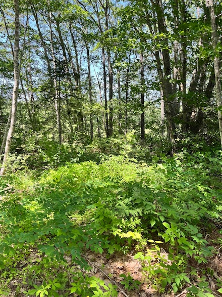 TBD Frye Rd, Somerville, ME 04348