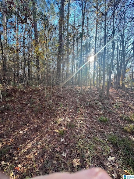Lot 18 Dogwood Cir Unit 1, Roanoke, AL 36274