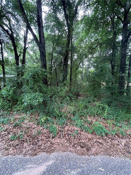 2911 Summit Dr W, Mobile, AL 36618