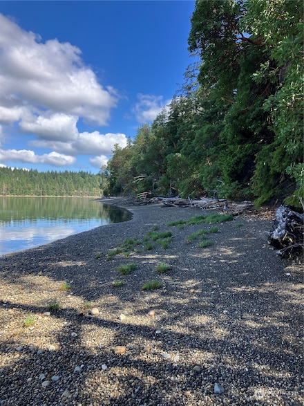 6 E Swindler's Cove Rd, Shelton, WA 98584