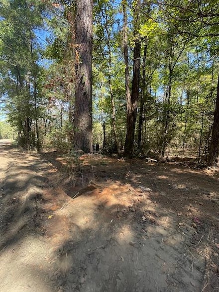 R000065761 Telephone Rd, Milam, TX 75959