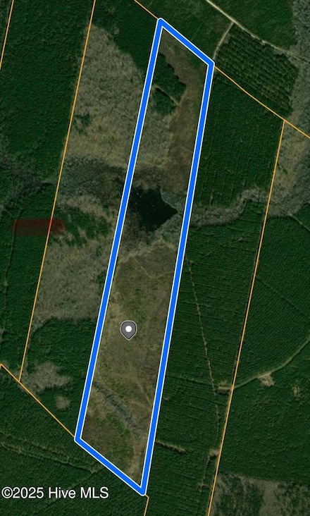 624 Roquis Roquist Pocosin Rd, Windsor, NC 27983