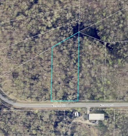 XXX Nicholas St, Harris Township, MN 55744