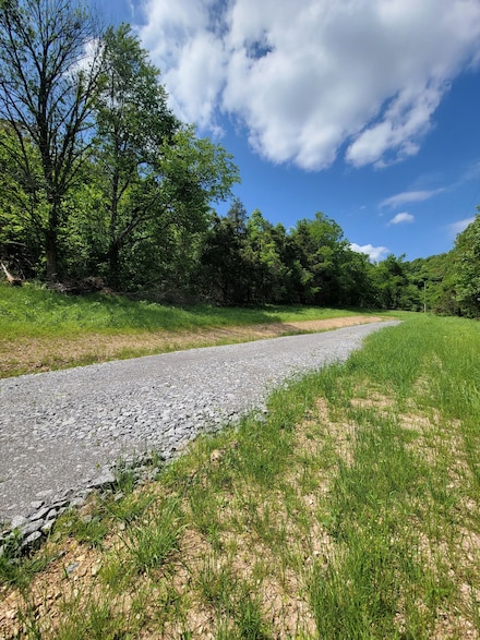 0 Gossburg Rd Unit RTC2516930, Beechgrove, TN 37018