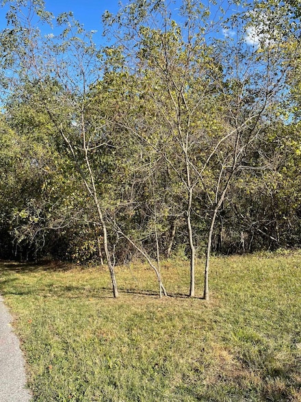 0 Ivy Creek Lots 8 & 9 Unit 55982, Ashland, KY 41101