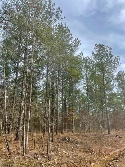 757 Timber Creek Trails South Xl, Broken Bow, OK 74728