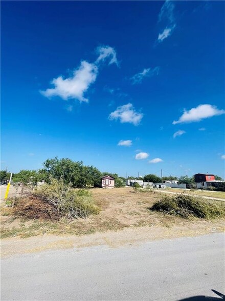 25135 Las Nubes Dr, Monte Alto, TX 78538