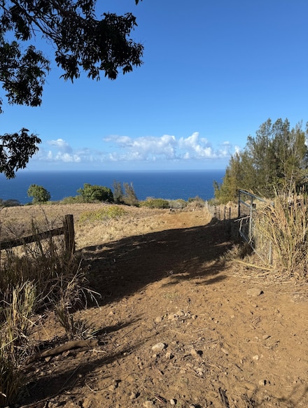 47-4536 Honokaa-Waipio Rd, Honokaa, HI 96727