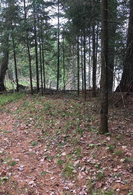 L1 Birch Pond Rd, Conover, WI 54519