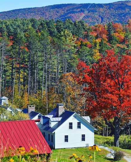 4669 Vermont Route 100, Londonderry, VT 05148