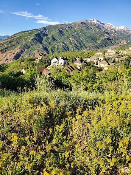 14849 S Saddle Leaf Ct, Draper, UT 84020