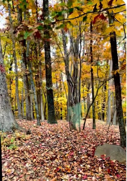 Lot 17 Vista Pkwy, Hardy, VA 24101