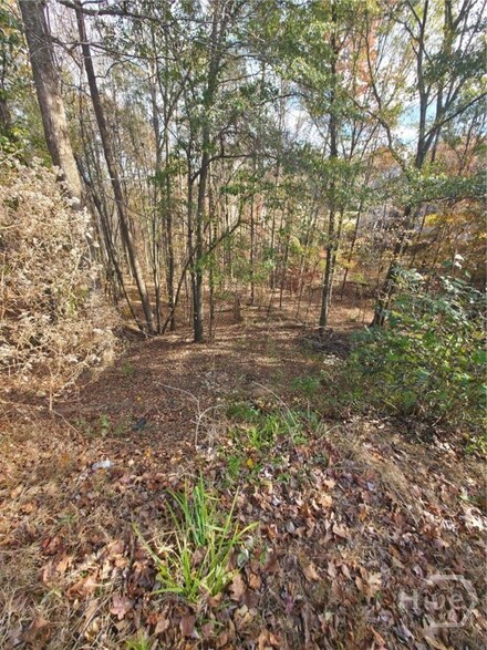 2412 Snowshoe Bend, Bethlehem, GA 30620