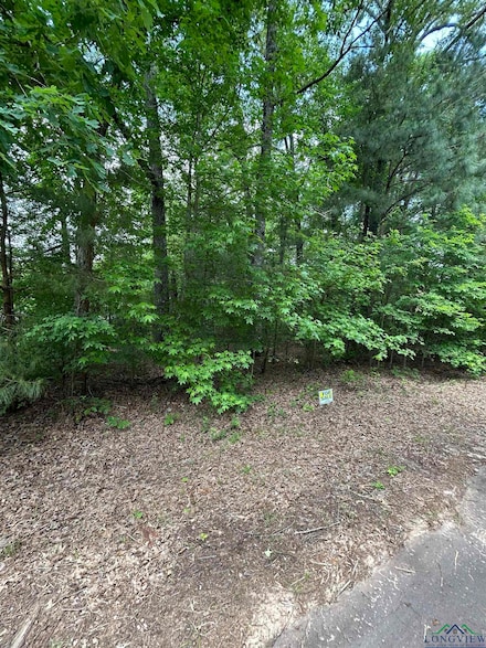Lot 561 Tbd Eagle Bluff Loop, Avinger, TX 75630