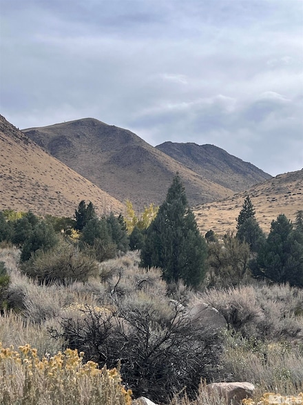 Lot 10 Mill Creek Dr, Walker, CA 96107