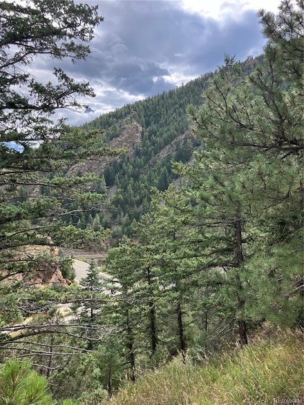 CR 314 Frontage Rd Unit Parcel 1 & Parcel 2, Idaho Springs, CO 80452