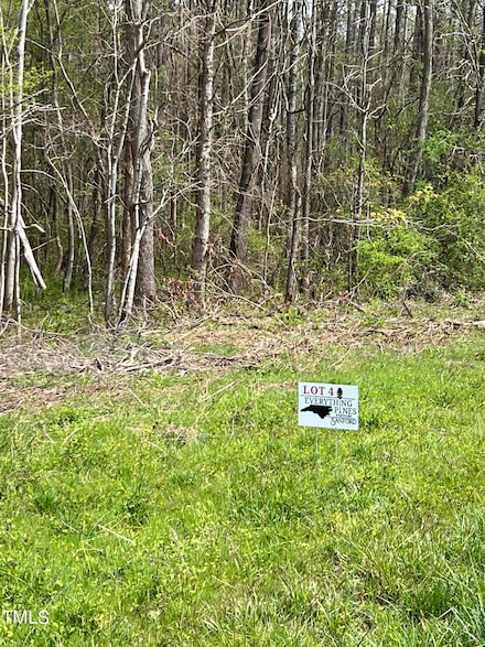 Lot 4 Elmer Moore Rd, Siler City, NC 27344